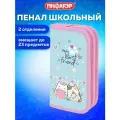 Пенал Пифагор, 2 отделения, ламинированный картон, 19х11 см, Cat friends, 272247