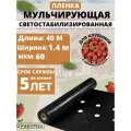 Пленка мульчирующая для клубники
