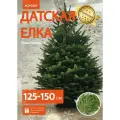Живая елка Пихта Нордмана Премиум/Датская елка 125-150 см, не осыпается