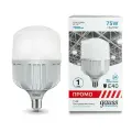 Лампочка светодиодная Gauss Promo LED Elementary 75В 6500K 7000Лм E40 60438