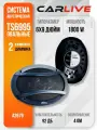 Динамики Автомобильные Carlive TS-A6995 (6x9) Овальные. Автоакустика (2 Коаксиальных Динамика)