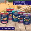 Влажный корм для собак набор из 5 вкусов Solid Natura Holistic - ягненок, мраморная говядина, кролик, конина, говядина, упаковка 5 шт х 340 г