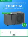 Блок розетка с заземлением со шторками 16А 250B и двухклавишный выключатель 10А Schneider Electric AtlasDesign PROFI IP54 открытой установки ATN544074