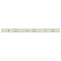 Лента герметичная RTW-PS-A160-10mm 24V Warm3000 (12 W/m, IP67, 2835, 50m) (arlight, -)