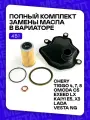 Комплект фильтров на вариатор. Chery Tiggo 4, 7, 8. Omoda C5. Exeed LX. Kaiyi E5, X3. Lada Vesta NG. Артикула : 315263VX0A 1102601M02 317263JX0A 025CHA1506400