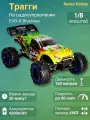Радиоуправляемая трагги EVO-R Brushless зеленый