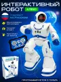 Робот DanyMilano АЛЕКС, интерактивный, на пульте ДУ, со световыми эффектами