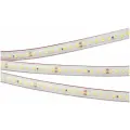 Лента герметичная RTW-PS-A160-10mm 24V Warm2700(12 W/m, IP67, 2835, 50m) (Arlight, Закрытый)
