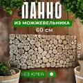 Панно из можжевельника для бани, настенное крепление, бежевое, 60 см x 30 см