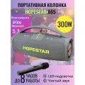 Колонка Hopestar A65