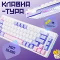 Механическая игровая клавиатура STEAR RX-800-1 Hikari с RGB-подсветкой, 65%, проводная, компактная, для ПК, белая