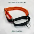 Ошейник мартингейл totemica для собак Чёрно-огненный. L