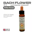 Цветы Баха, эссенция №37 Wild Rose (Шиповник собачий) Уайлд Роуз - капли 10 мл. Англия
