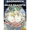 Флорариум с суккулентами Иная планета додекаэдр большой