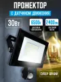Уличный светодиодный прожектор LEEK LE LED FL IR, 30Вт, IP65, с датчиком движения