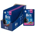 Корм для кошек Brit Premium, беззерновой, с курицей, с индейкой 14 шт. x 85 г (кусочки в соусе)