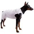 Послеоперационнная попона для кошек и собак OSSO Fashion, р.9 (длина спины 59-65 см)