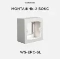 CVGAUDIO WS-ERC-SL Монтажный бокс для накладной установки на стену контроллеров CVGAUDIO ERC-1/2, цвет серебряный