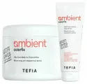 Tefia AMBIENT Colorfix Маска-уход для окрашенных волос, 500 мл