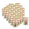 Royal Canin Maine Coon Adult влажный корм для взрослых кошек породы Мэйн Кун в соусе, в паучах - 85 г х 32 шт.