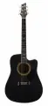 NG GT600-E BK электроакустическая гитара, цвет черный