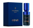 Парфюмерная вода Ojar Stallion Soul 100 мл