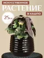 Композиция из искусственных цветов Alocasia Purple 25 см, Kaemingk, 801881-1