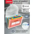Папка органайзер для хранения документов A4