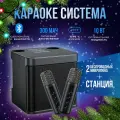 Караоке система, 2 микрофона / Музыкальная беспроводная колонка с микрофонами черный цвет