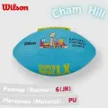 Мяч для американского футбола Wilson SUPER BOWL LX JUNIOR ALL WEATHER WF4025301XBJR Баскетбол №6