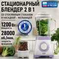 Блендер стационарный STINGRAY ST-KP2208A белый/лиловый аметист