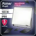 Прожектор Ritter светодиодный 100Вт уличный, нейтральный свет 4000К, IP65, серия PROFI 53419 2