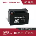 Аккумулятор RS 1209