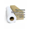 Синтетический холст для струйной печати в рулоне 0,91х30м/250 гр