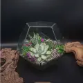 Флорариум-додекаэдр с суккулентами от Flolefor Горный цветок, 16х16х14 см (ДхШхВ)