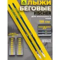 Лыжи FISCHER AEROLITE 60 SKATE 191 см