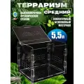 Террариум Для Рептилий 24*18*17
