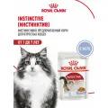 Влажный корм (Консервы-Паучи) Роял Канин Инстинктив для Взрослых кошек старше 1 года в Желе (цена за упаковку) 85г х 28шт