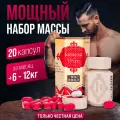 Гейнер Samyun Wan, нейтральный вкус, 20 порций, банка, 3 упаковки