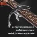 Каподастр Акула серебристый