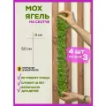 Лента декоративная Bloom Showroom, стабилизированный мох ягель, для озеленения, 50x3 см, 4шт