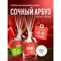 Диффузор для дома, ароматизатор с палочками аромадиффузор DIFF Сочный арбуз, 2 шт х 50 мл