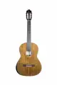 100-th/C 100th Anniversary Классическая гитара, с футляром, Kremona