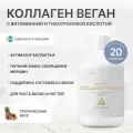 Питьевой коллаген для веганов Probiolab Collagen Vegan Vitamins & Hyaluronic Acid, 500 мл