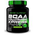 BCAA + глютамин, аминокислоты / Scitec Nutrition BCAA + Glutamine Xpress / 600 г - яблоко