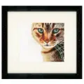 Lanarte Набор для вышивания Cat Close-up (PN-0021202), коричневый, 17 х 17 см