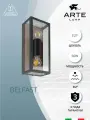Уличный настенный светильник Arte lamp BELFAST A4569AL-2BR