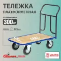 Тележка платформенная Стелла-техник КПТ-500-125-К , с фанерой, 600х1000мм