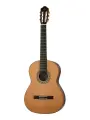 Hora N1014 SM20 Regun Классическая гитара