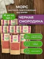 Морс Черная смородина быстрого приготовления сухой концентрат основа для напитка с витаминами 10 пачек по 140 гр